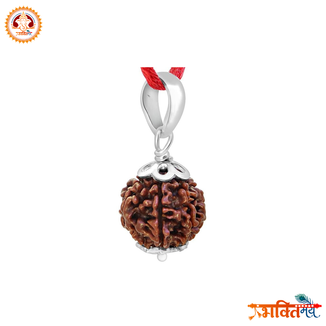 Energized (Abhimantrit) 7 Mukhi Rudraksh with Silver Cap