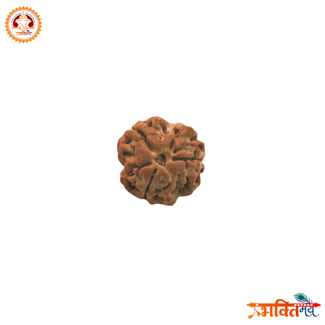 Energized (Abhimantrit) 3 Mukhi Rudraksh with Silver Cap
