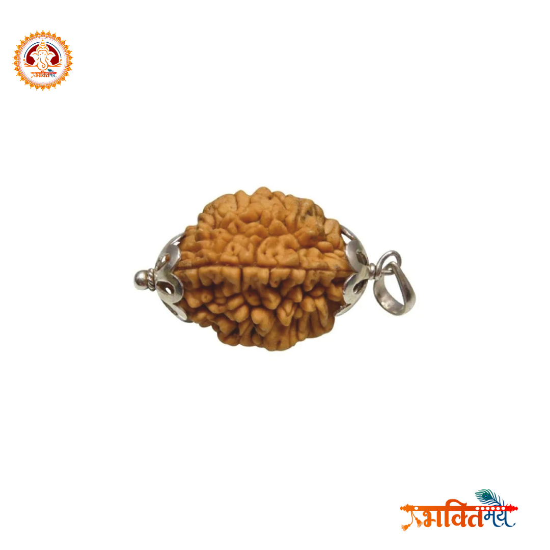 Energized/Abhimantrit 2 Mukhi Rudraksh with silver cap