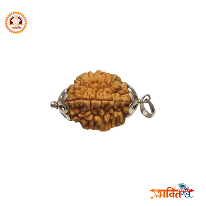 Energized/Abhimantrit 2 Mukhi Rudraksh with silver cap