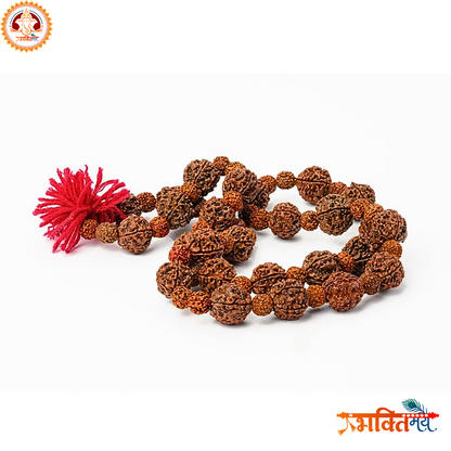 Siddha Energized (Abhimantrit) Panchamukhi Rudraksh Mala