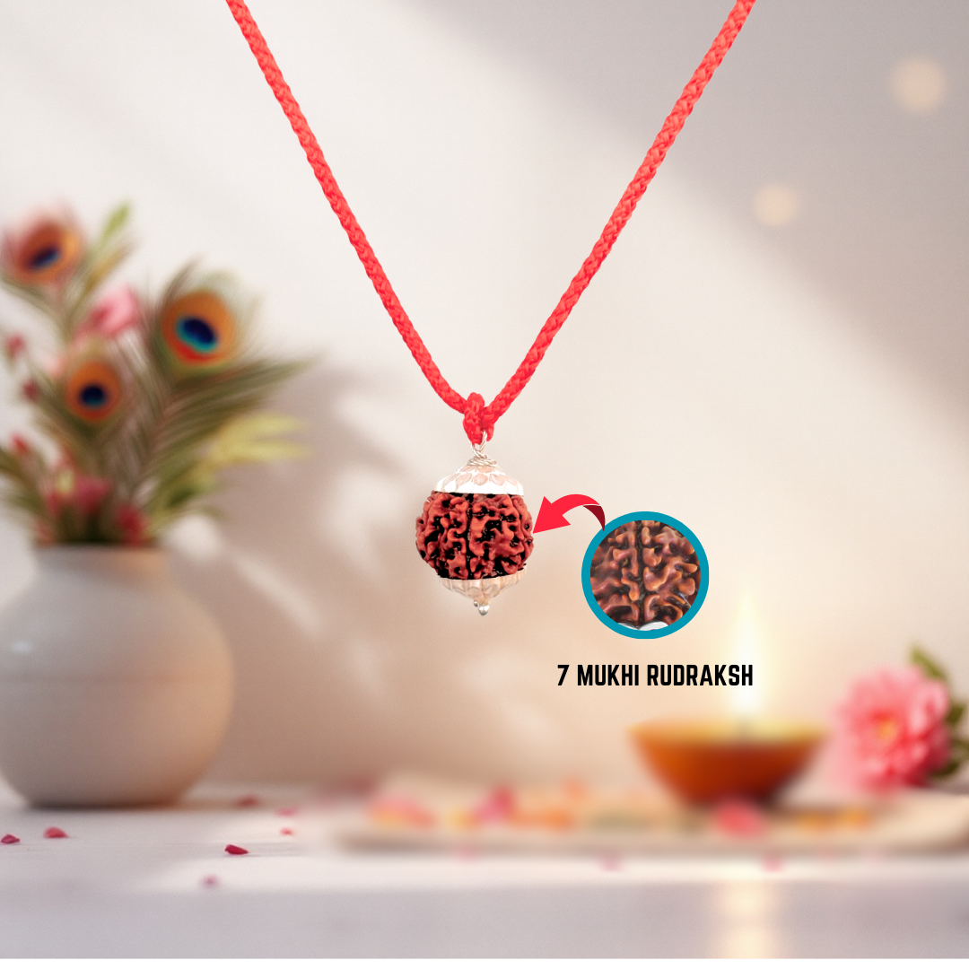 Energized (Abhimantrit) 7 Mukhi Rudraksh with Silver Cap