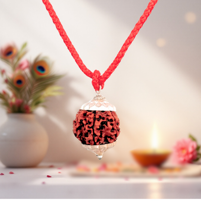 Energized (Abhimantrit) 7 Mukhi Rudraksh with Silver Cap